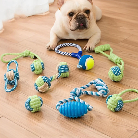 Jouets à mâcher pour chiens