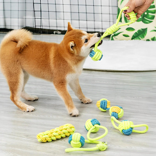 Jouets à mâcher pour chiens