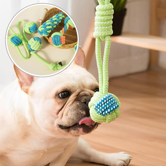 Jouets à mâcher pour chiens