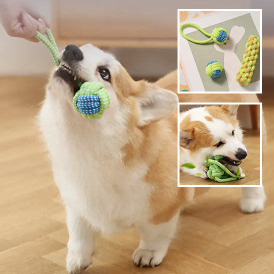 Jouets à mâcher pour chiens