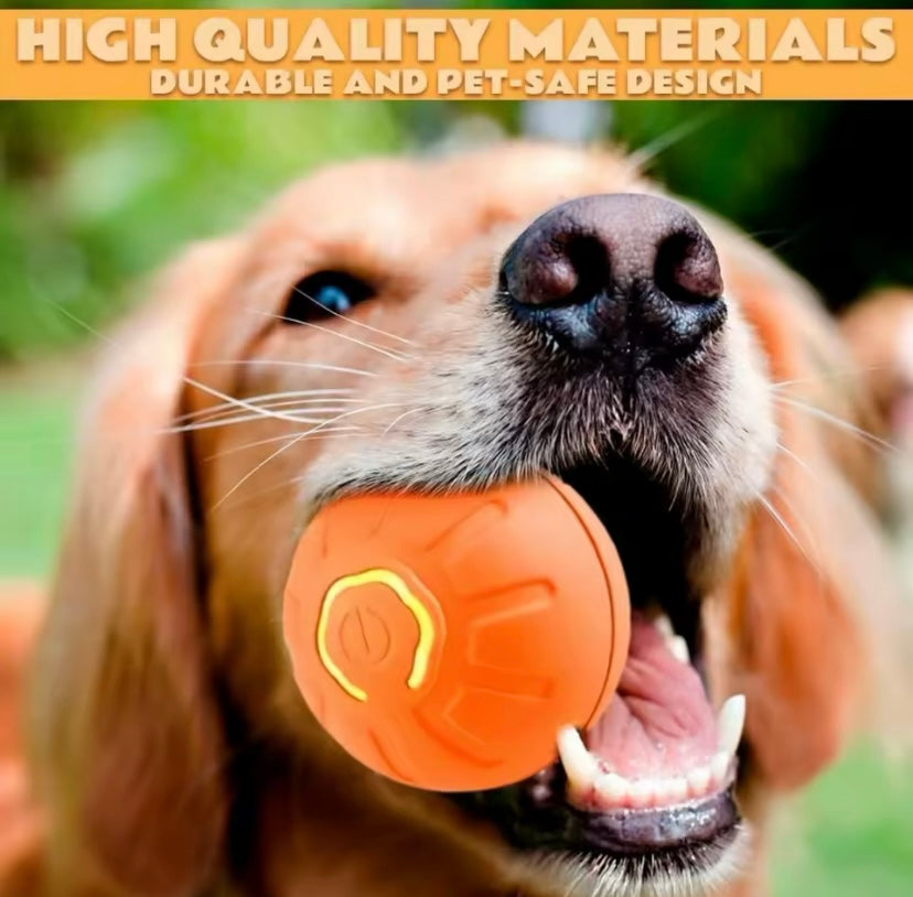 Balle de jouets intelligent chien