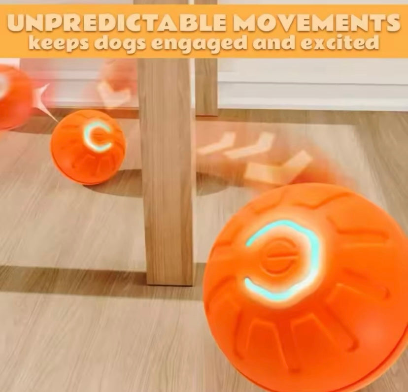Balle de jouets intelligent chien
