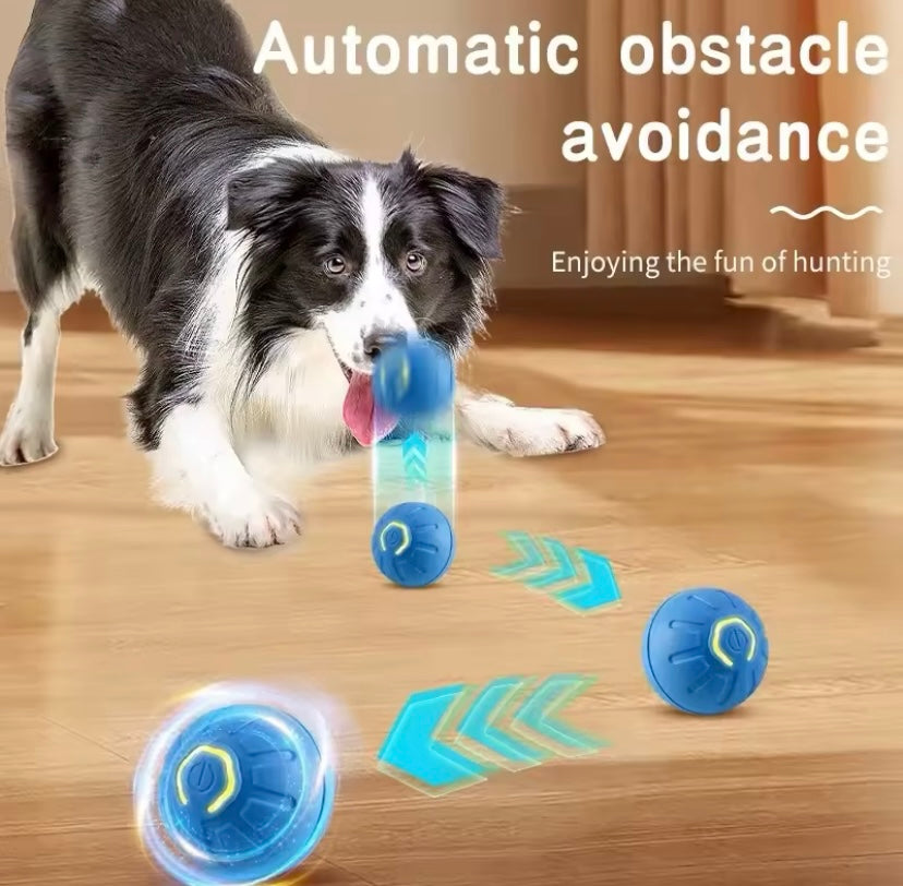 Balle de jouets intelligent chien